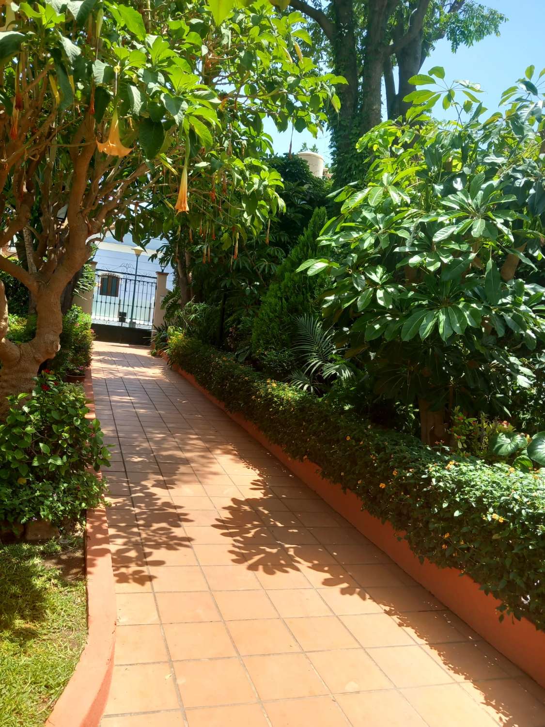 Piso en venta en Pedregalejo