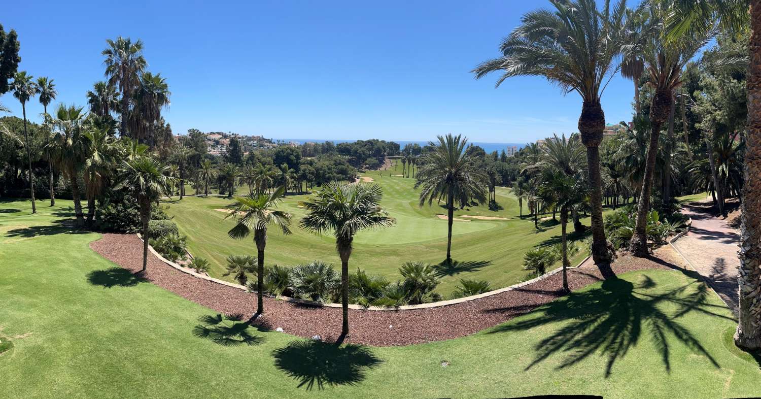 مسطحة للبيع في Torrequebrada (Benalmádena)