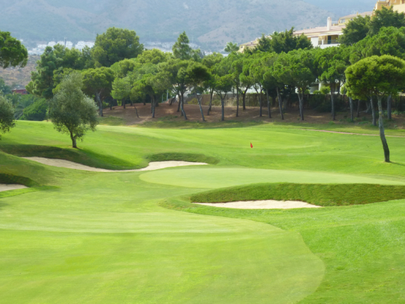 كنة للبيع في Torrequebrada (Benalmádena)