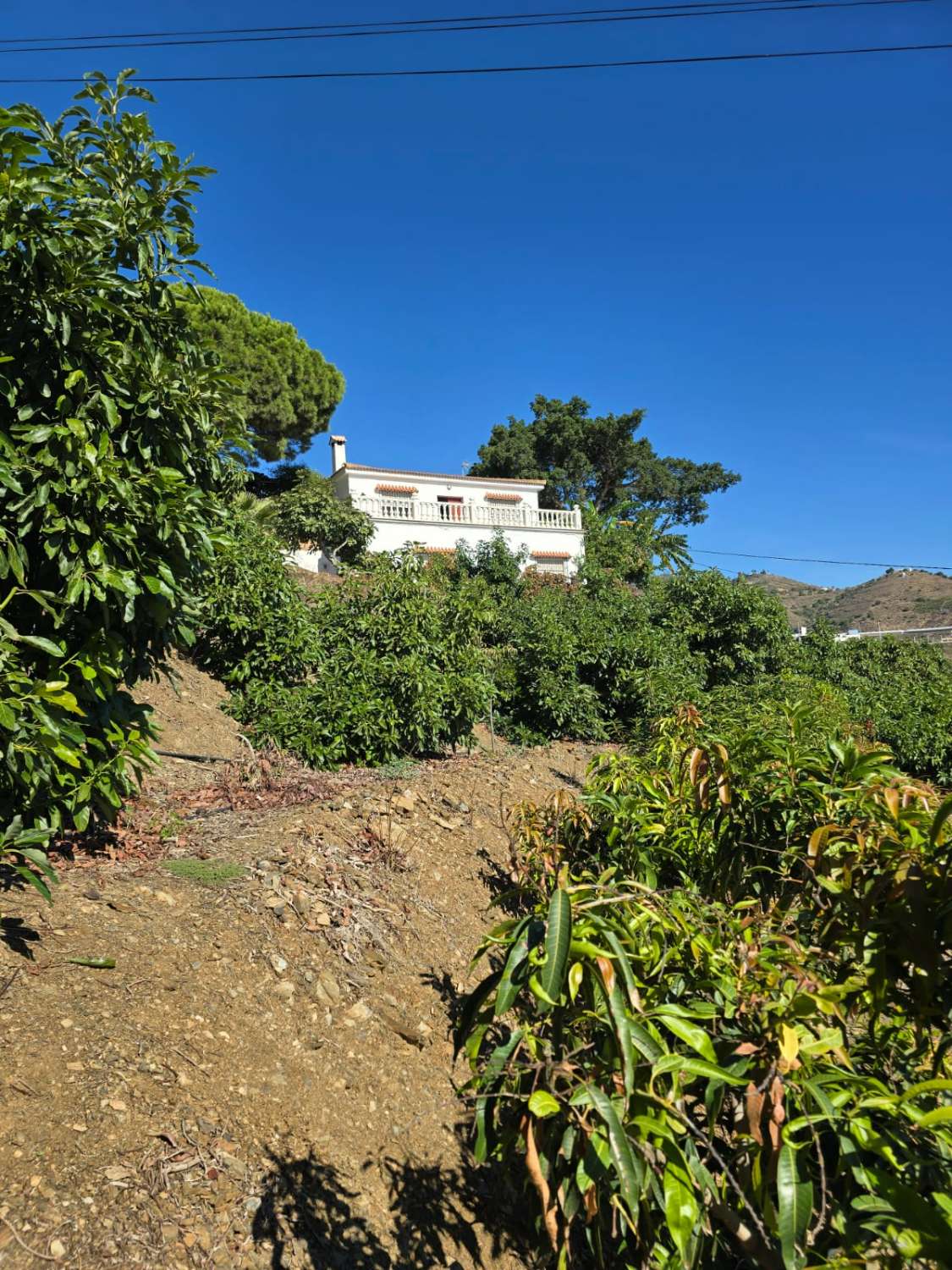 Hus till salu i Algarrobo
