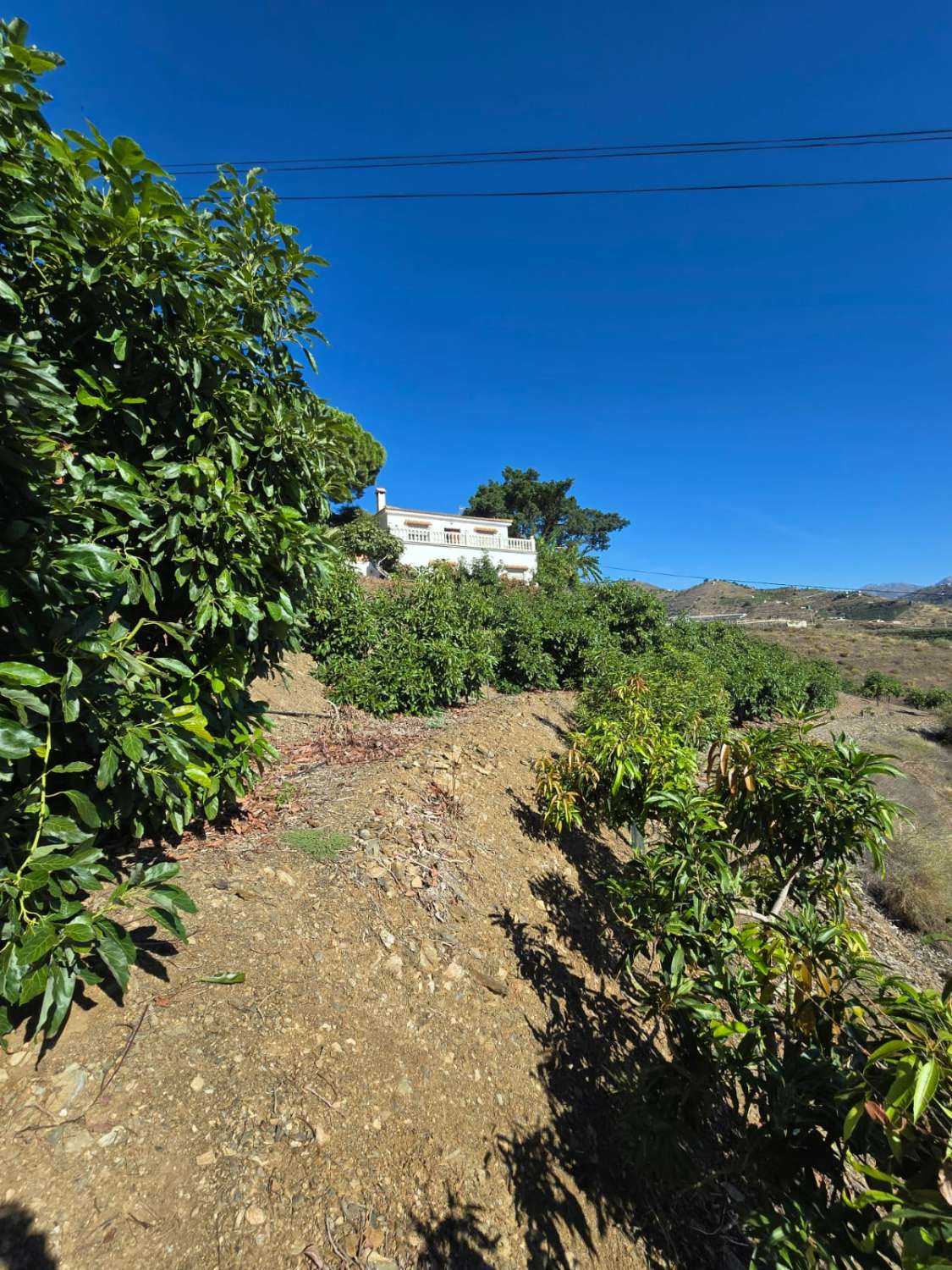Hus till salu i Algarrobo