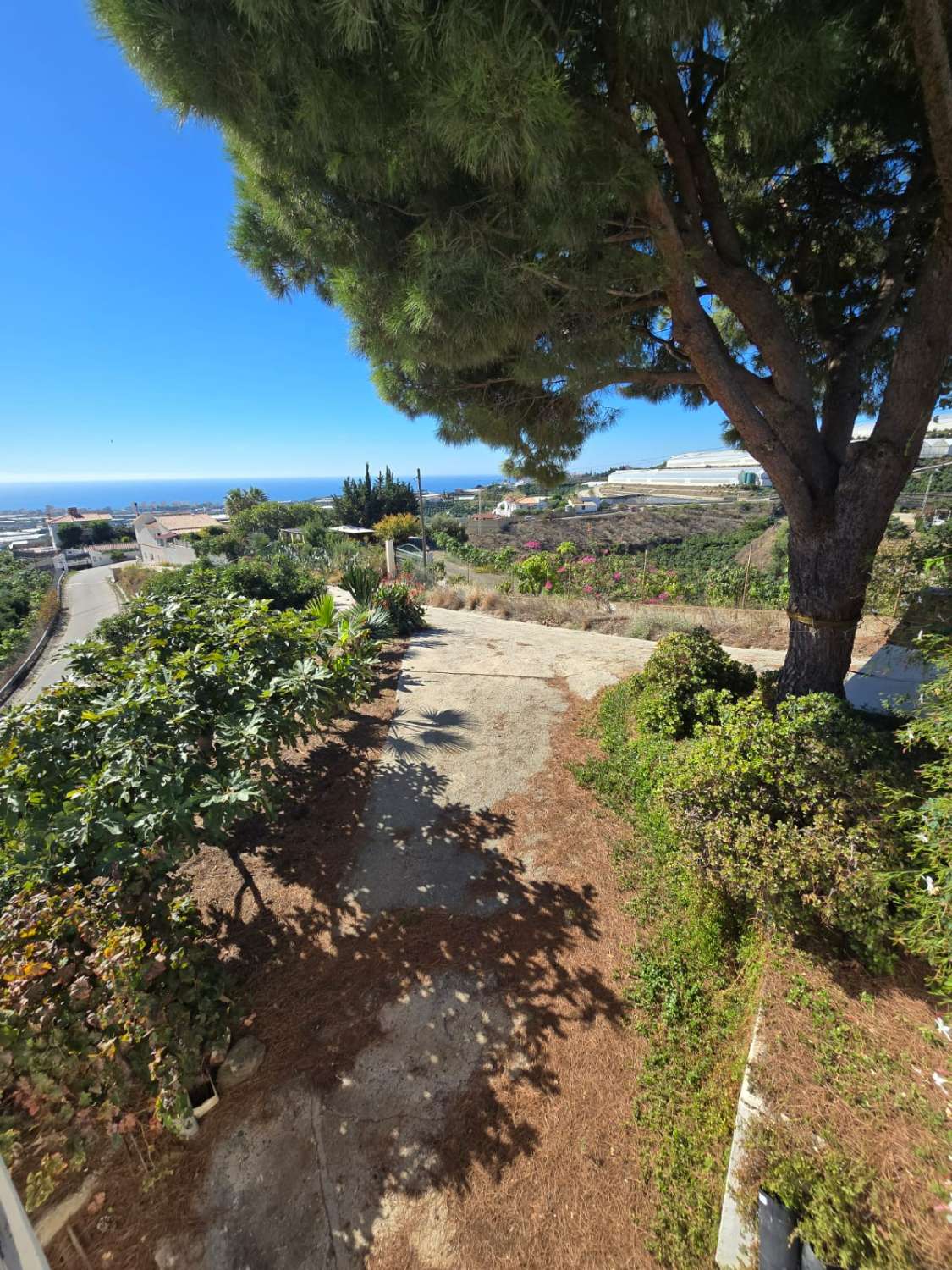 Hus till salu i Algarrobo